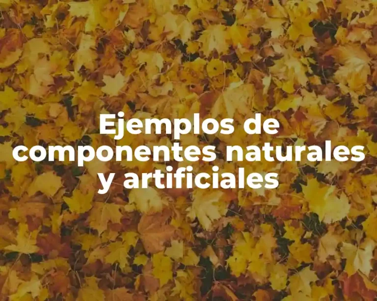 Ejemplos de componentes naturales y artificiales