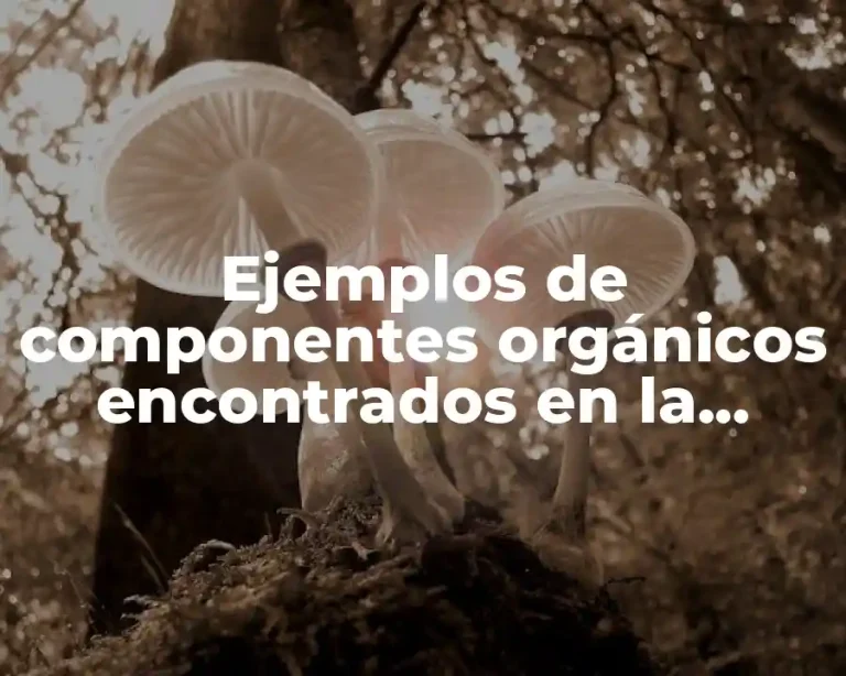Ejemplos de componentes orgánicos encontrados en la naturaleza