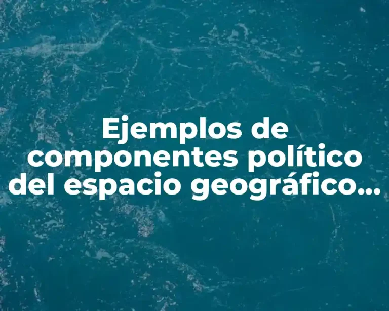 Ejemplos de componentes político del espacio geográfico y Significado