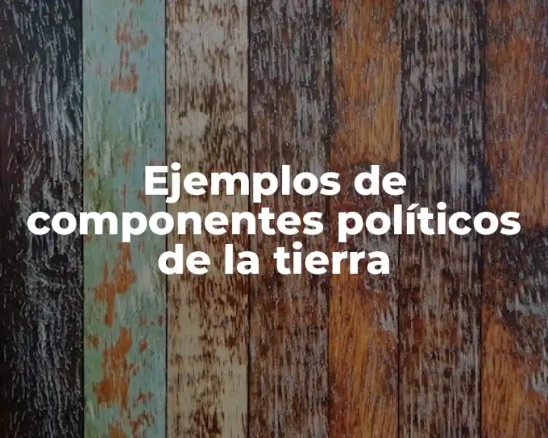 Ejemplos de componentes políticos de la tierra