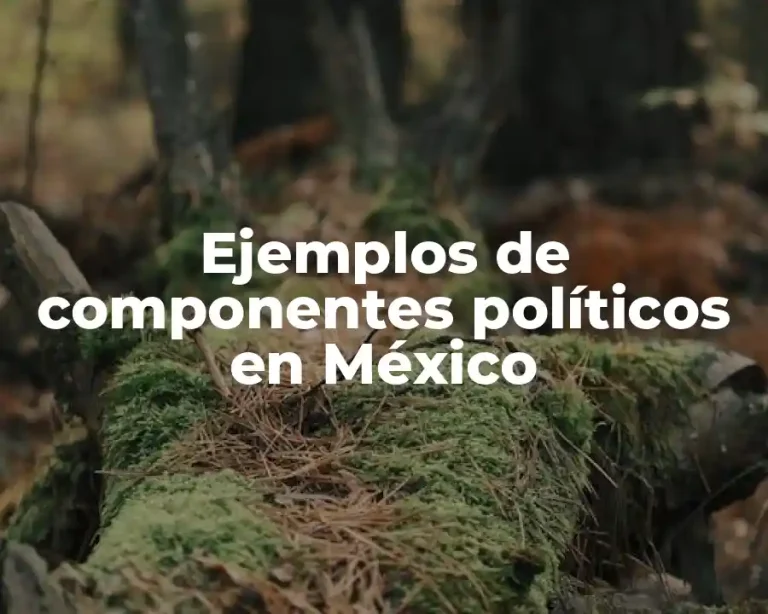 Ejemplos de componentes políticos en México