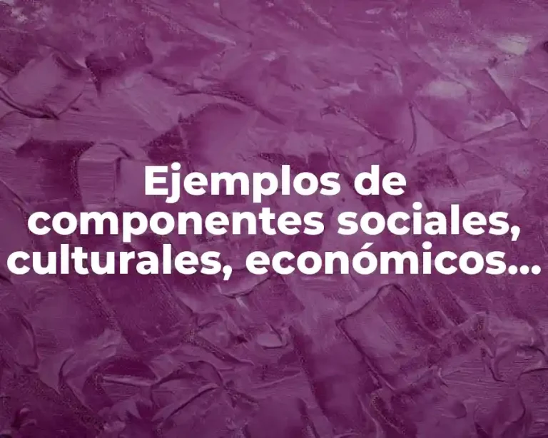 Ejemplos de componentes sociales, culturales, económicos, políticos