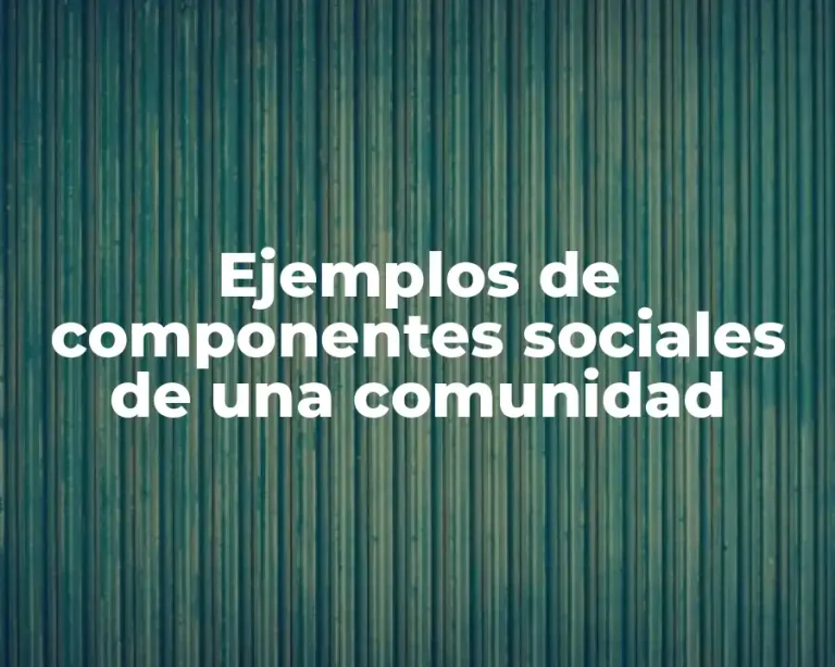 Ejemplos de componentes sociales de una comunidad