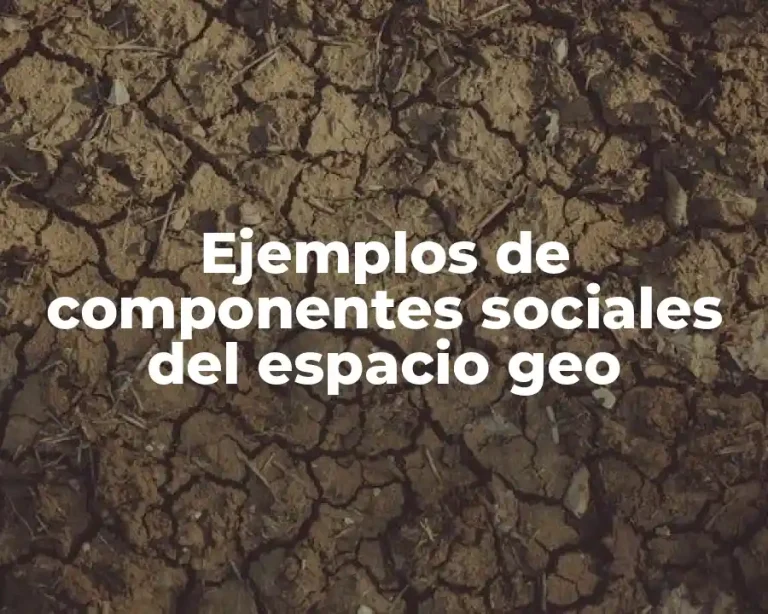 Ejemplos de componentes sociales del espacio geo