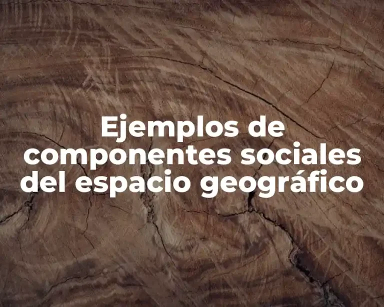 Ejemplos de componentes sociales del espacio geográfico