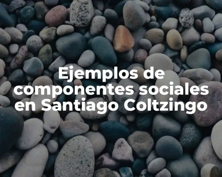 Ejemplos de componentes sociales en Santiago Coltzingo