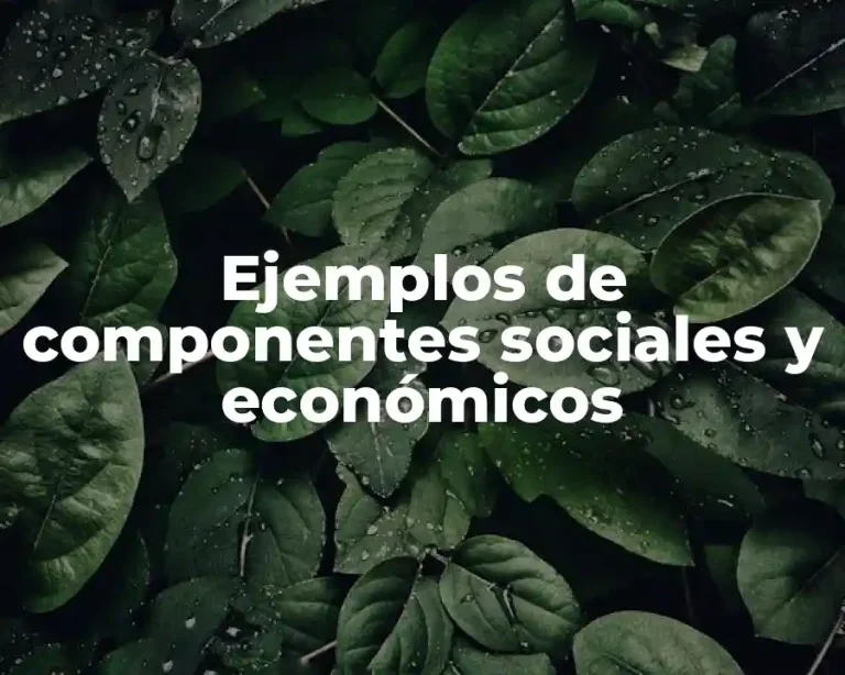 Ejemplos de componentes sociales y económicos