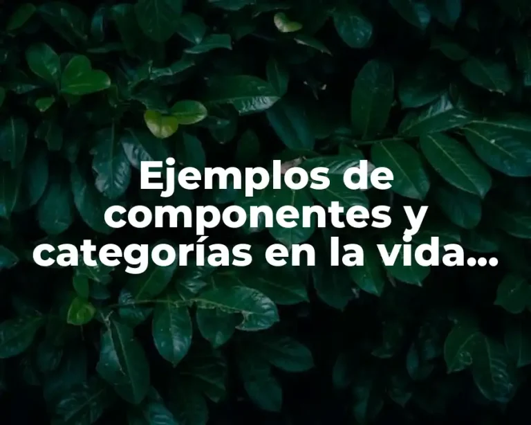 Ejemplos de componentes y categorías en la vida cotidiana