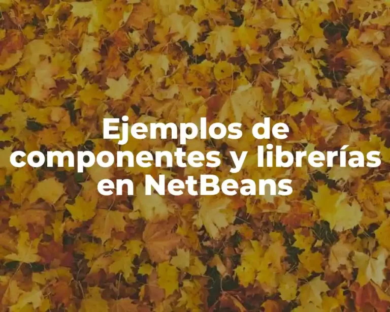 Ejemplos de componentes y librerías en NetBeans