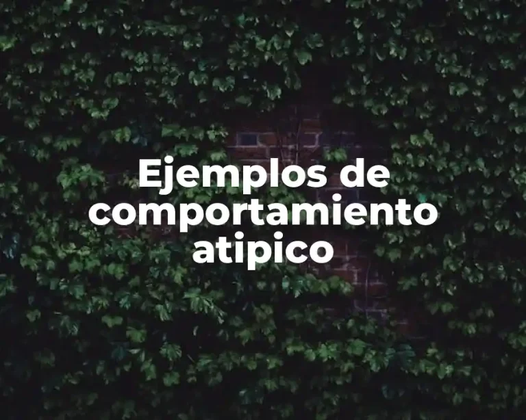 Ejemplos de comportamiento atipico