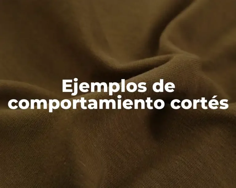 Ejemplos de comportamiento cortés