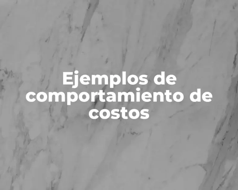 Ejemplos de comportamiento de costos