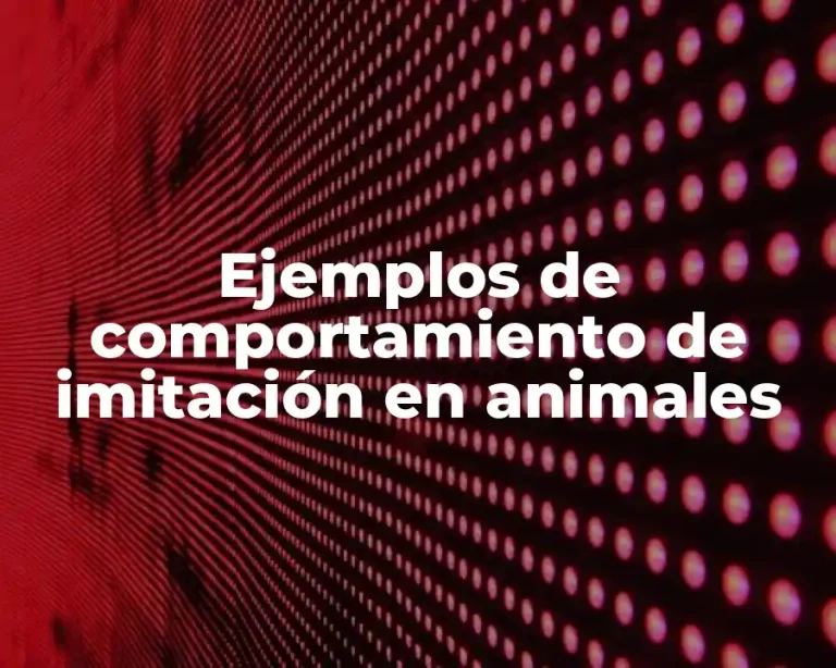 Ejemplos de comportamiento de imitación en animales