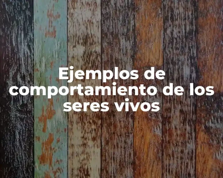 Ejemplos de comportamiento de los seres vivos