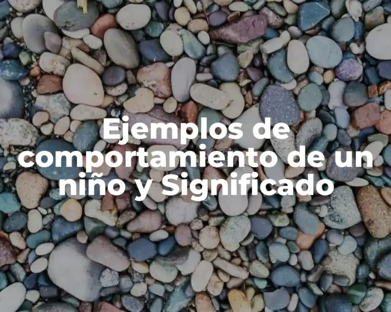Ejemplos de comportamiento de un niño y Significado