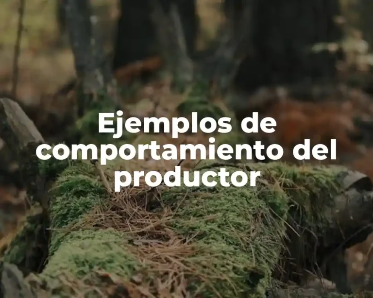 Ejemplos de comportamiento del productor