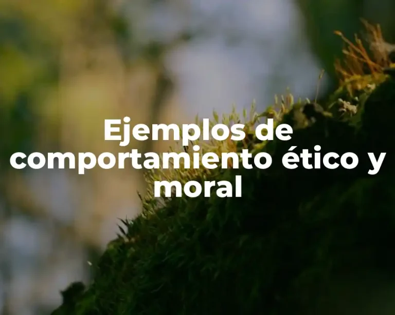 Ejemplos de comportamiento ético y moral