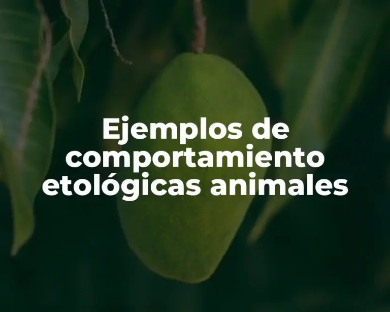 Ejemplos de comportamiento etológicas animales