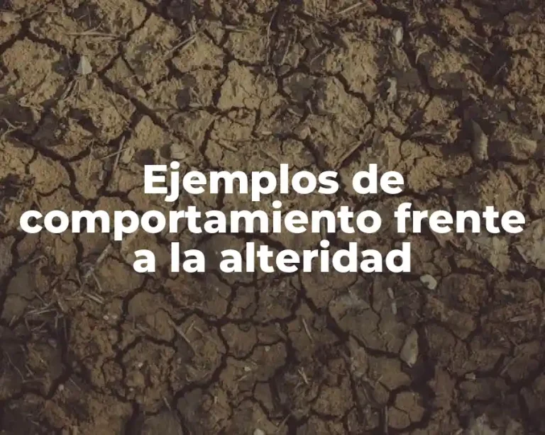 Ejemplos de comportamiento frente a la alteridad