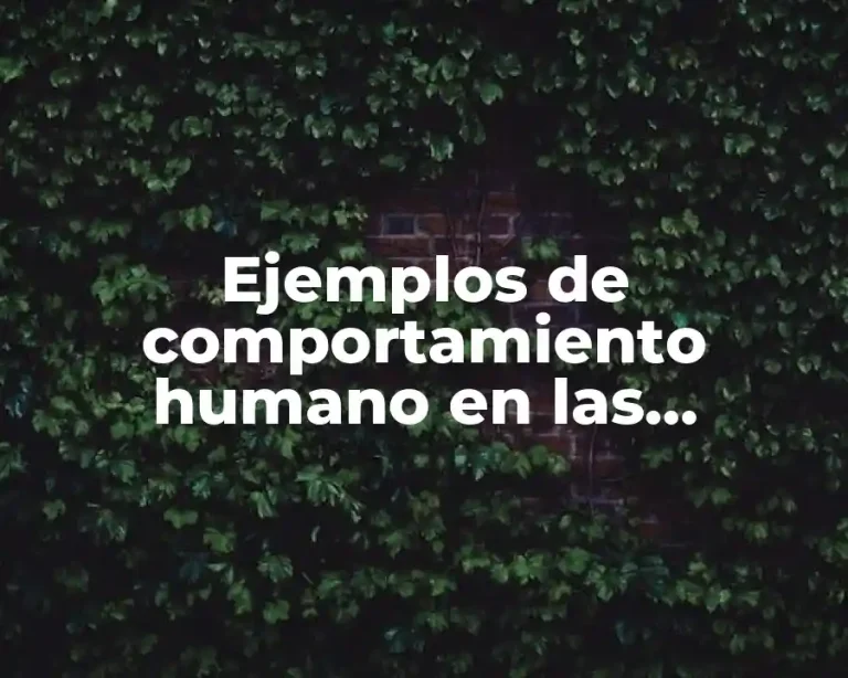 Ejemplos de comportamiento humano en las organizaciones