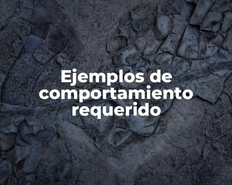 Ejemplos de comportamiento requerido