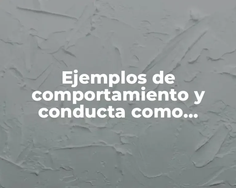 Ejemplos de comportamiento y conducta como independientes