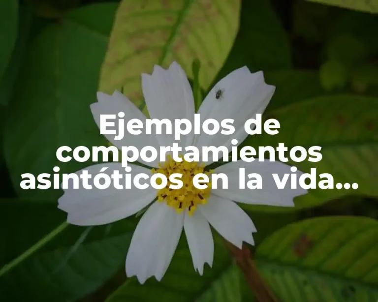 Ejemplos de comportamientos asintóticos en la vida cotidiana