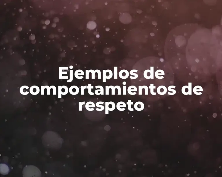 Ejemplos de comportamientos de respeto