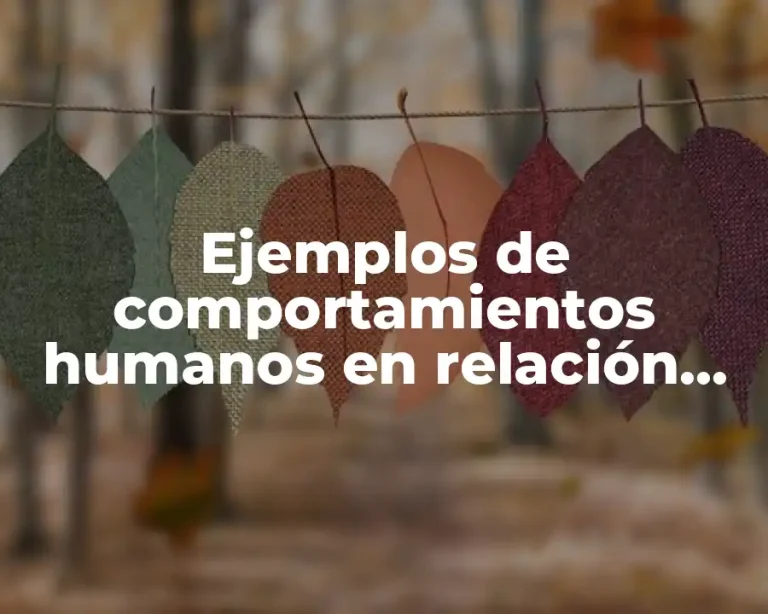 Ejemplos de comportamientos humanos en relación con la naturaleza