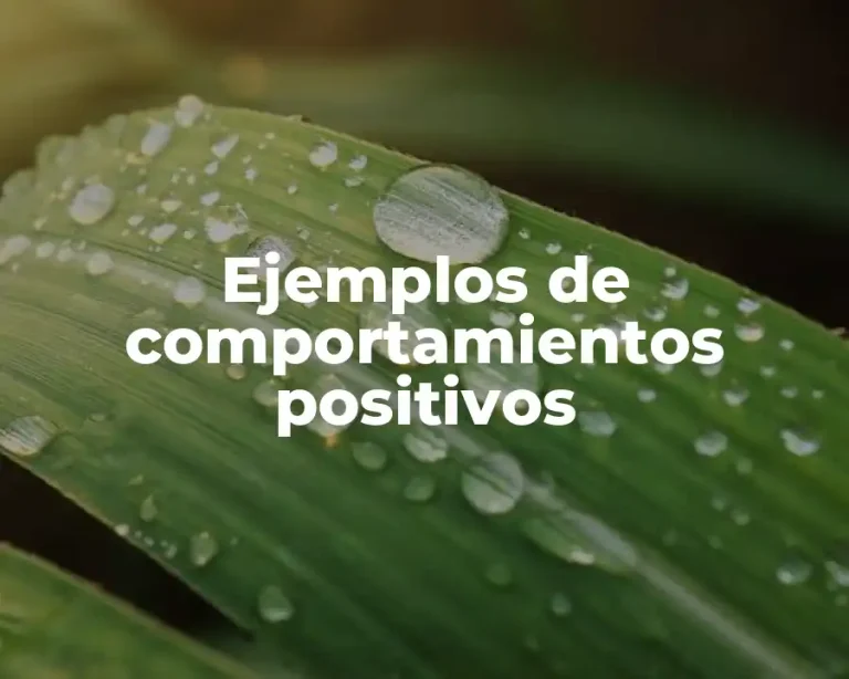 Ejemplos de comportamientos positivos
