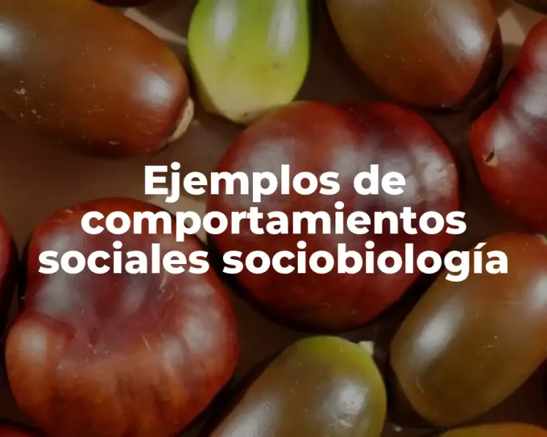 Ejemplos de comportamientos sociales sociobiología