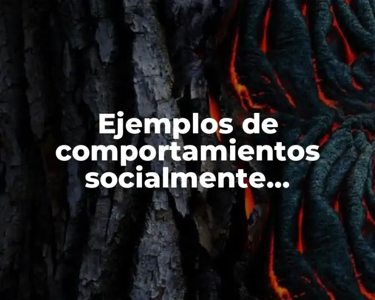 Ejemplos de comportamientos socialmente responsables de los dueños