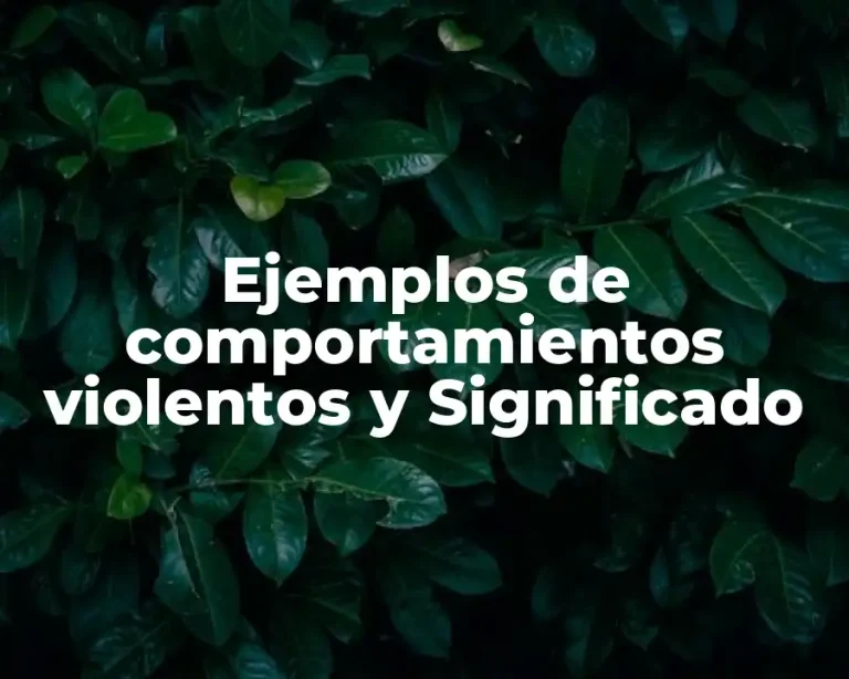 Ejemplos de comportamientos violentos y Significado