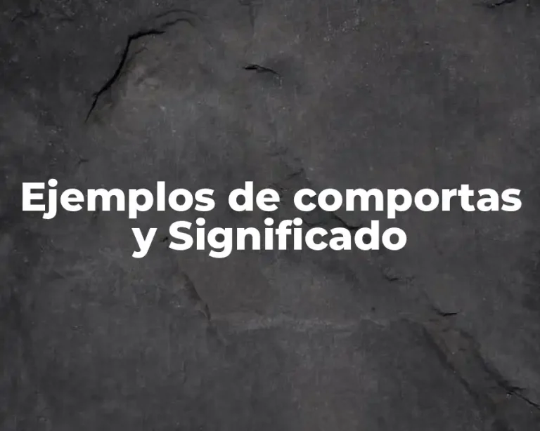 Ejemplos de comportas y Significado
