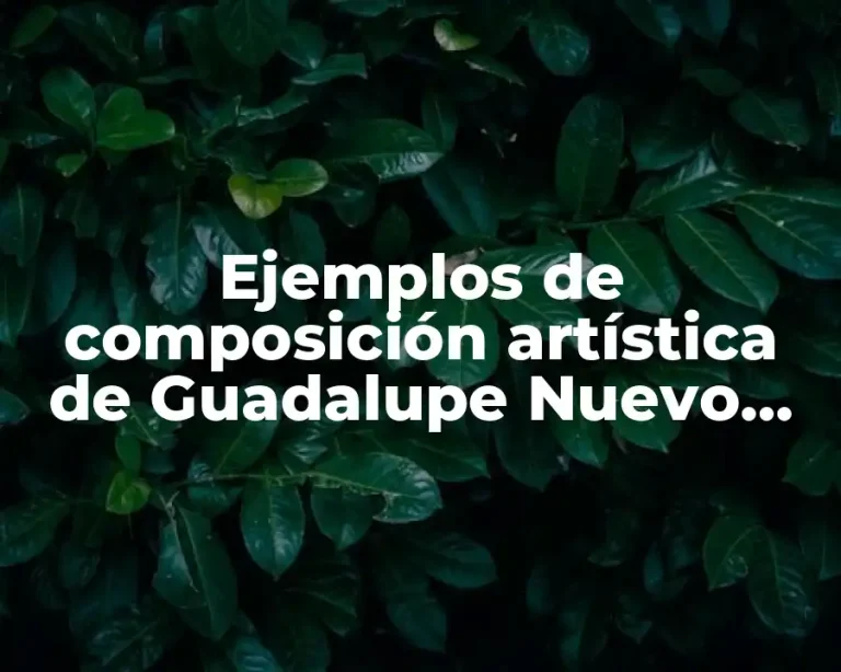 Ejemplos de composición artística de Guadalupe Nuevo León