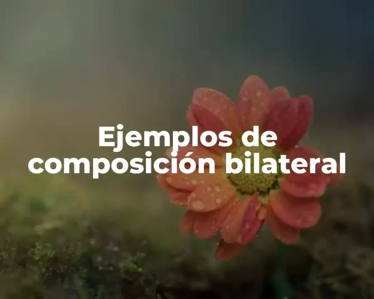 Ejemplos de composición bilateral