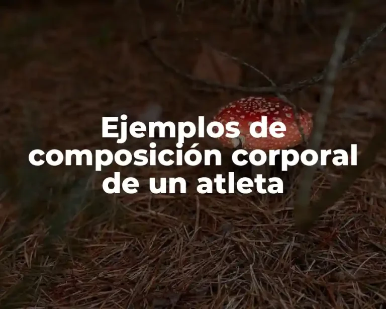 Ejemplos de composición corporal de un atleta