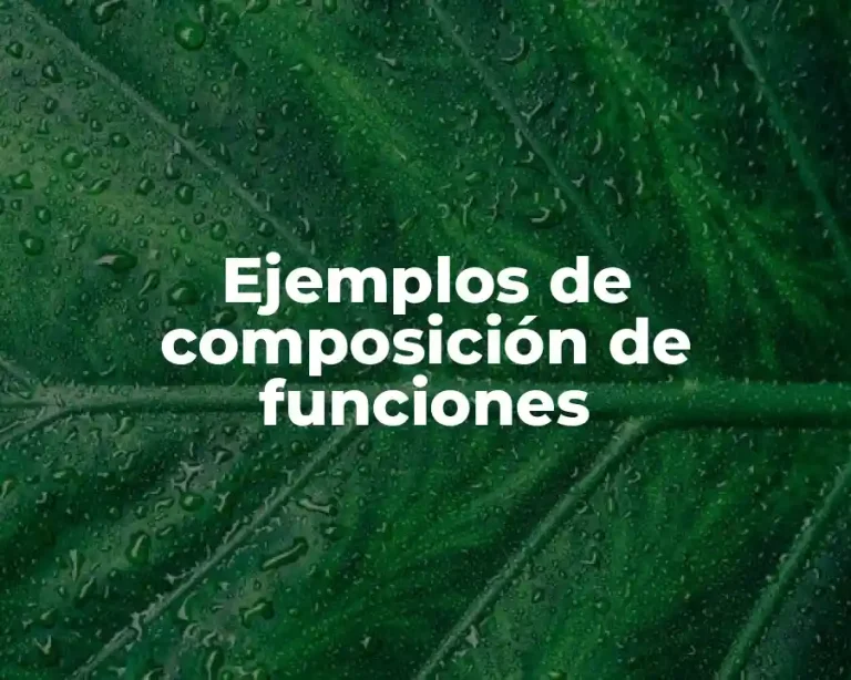 Ejemplos de composición de funciones