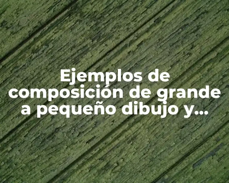 Ejemplos de composición de grande a pequeño dibujo y Significado