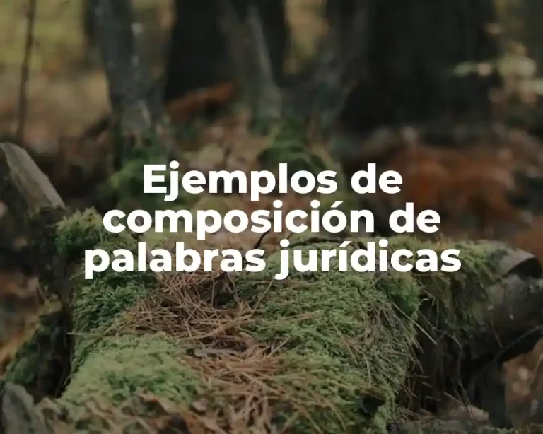 Ejemplos de composición de palabras jurídicas
