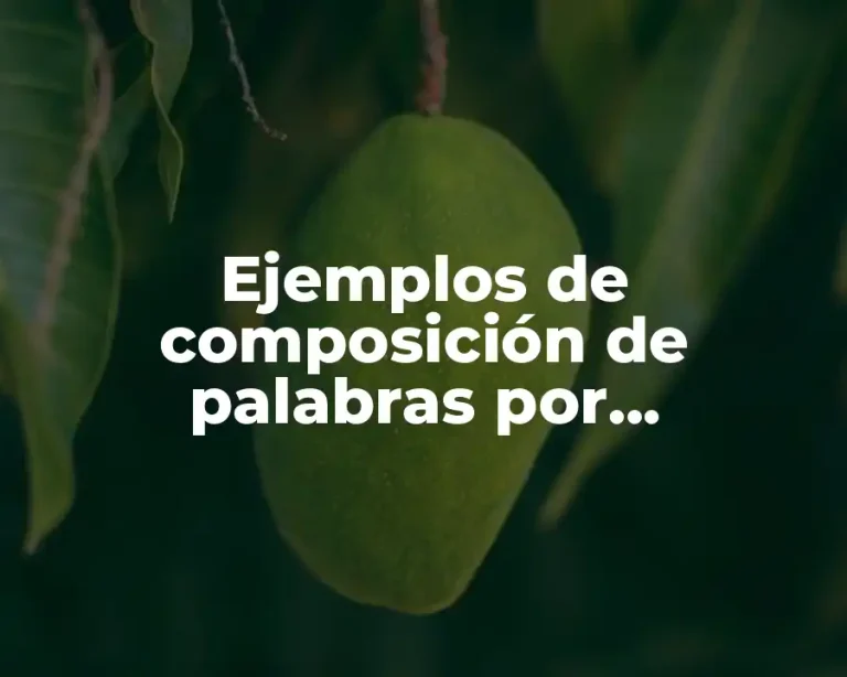 Ejemplos de composición de palabras por yuxtaposición