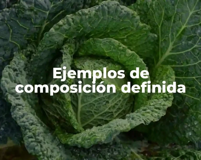Ejemplos de composición definida