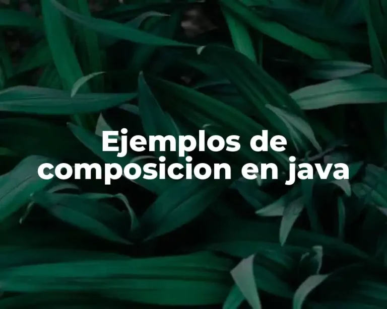 Ejemplos de composicion en java