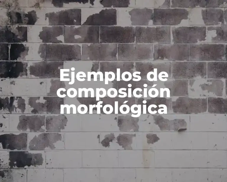 Ejemplos de composición morfológica