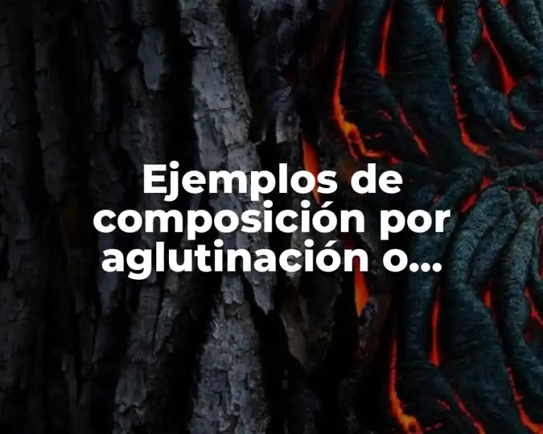Ejemplos de composición por aglutinación o disyunción