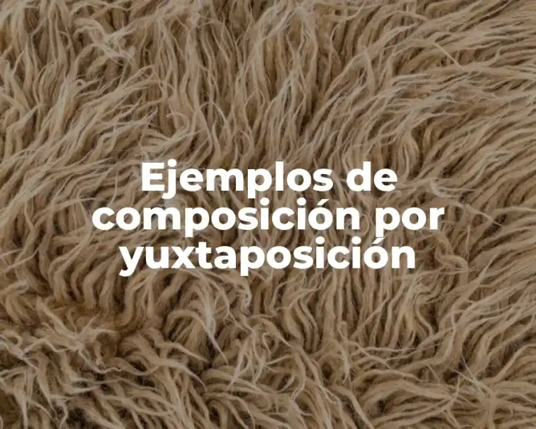 Ejemplos de composición por yuxtaposición