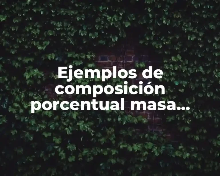 Ejemplos de composición porcentual masa volumen