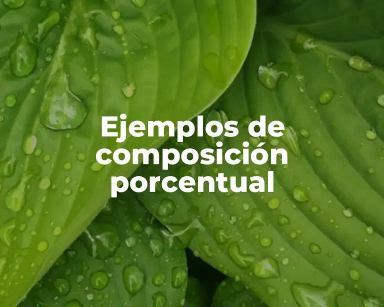 Ejemplos de composición porcentual