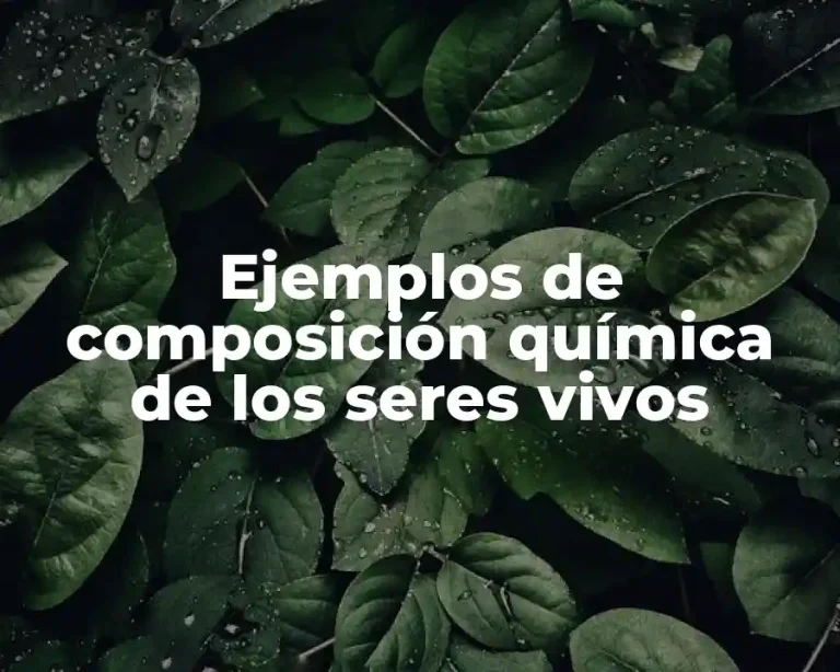 Ejemplos de composición química de los seres vivos