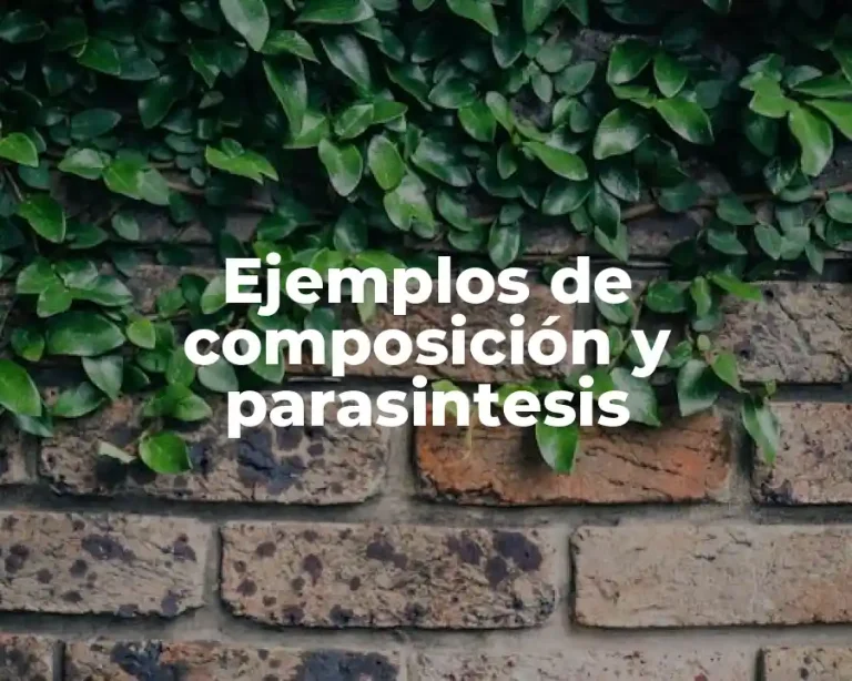Ejemplos de composición y parasintesis